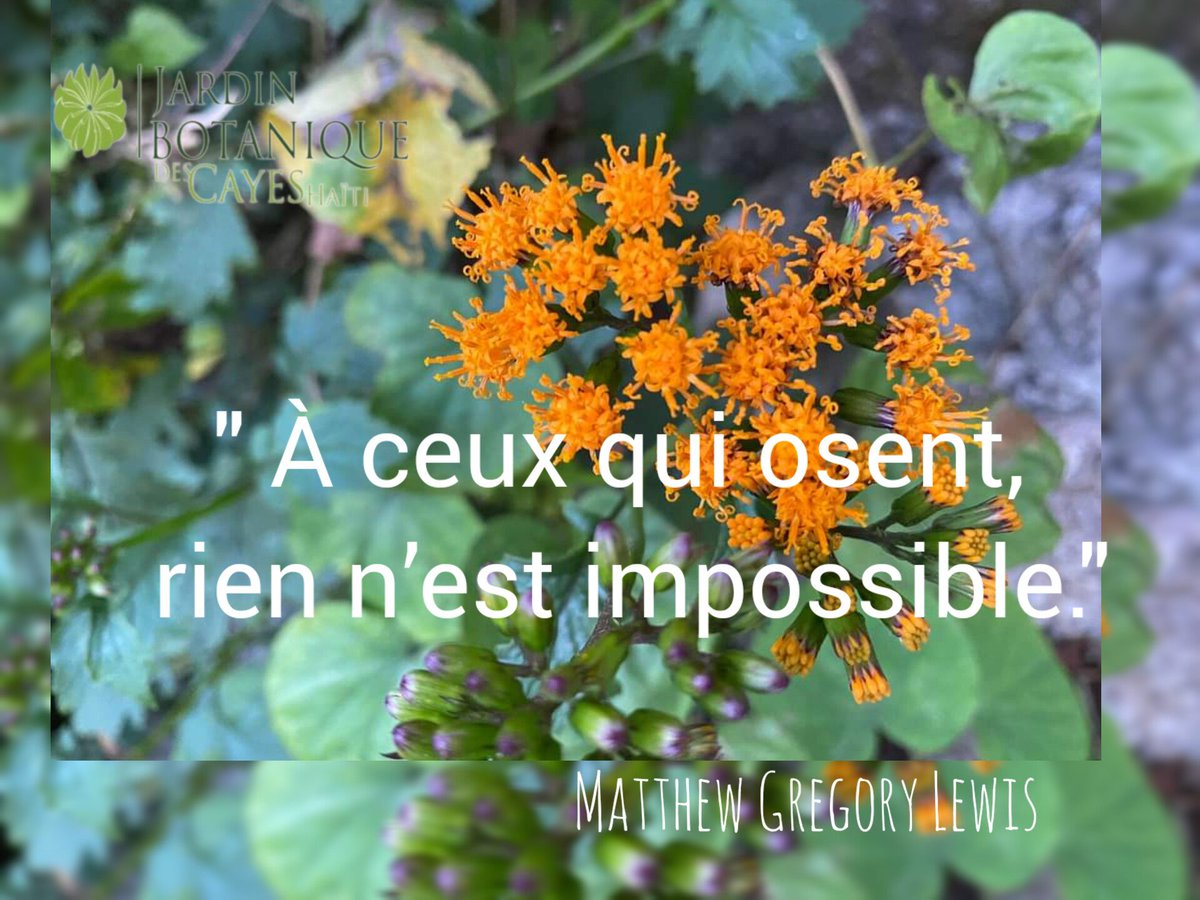 JardinBotaniquecayes tweet media