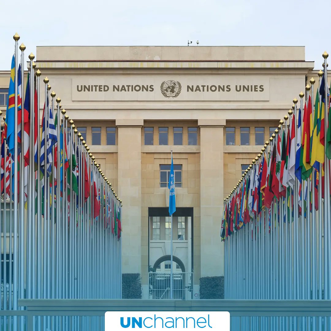 UN Offices announced new jobs for various positions, in different countries. You can find all job details and application procedure at: ➤ unchannel.org/organization-s… #UnitedNations #unjobs #unitednationsjobs #unvacancies #UN #UNOffices #UNOfficesjobs #unc…