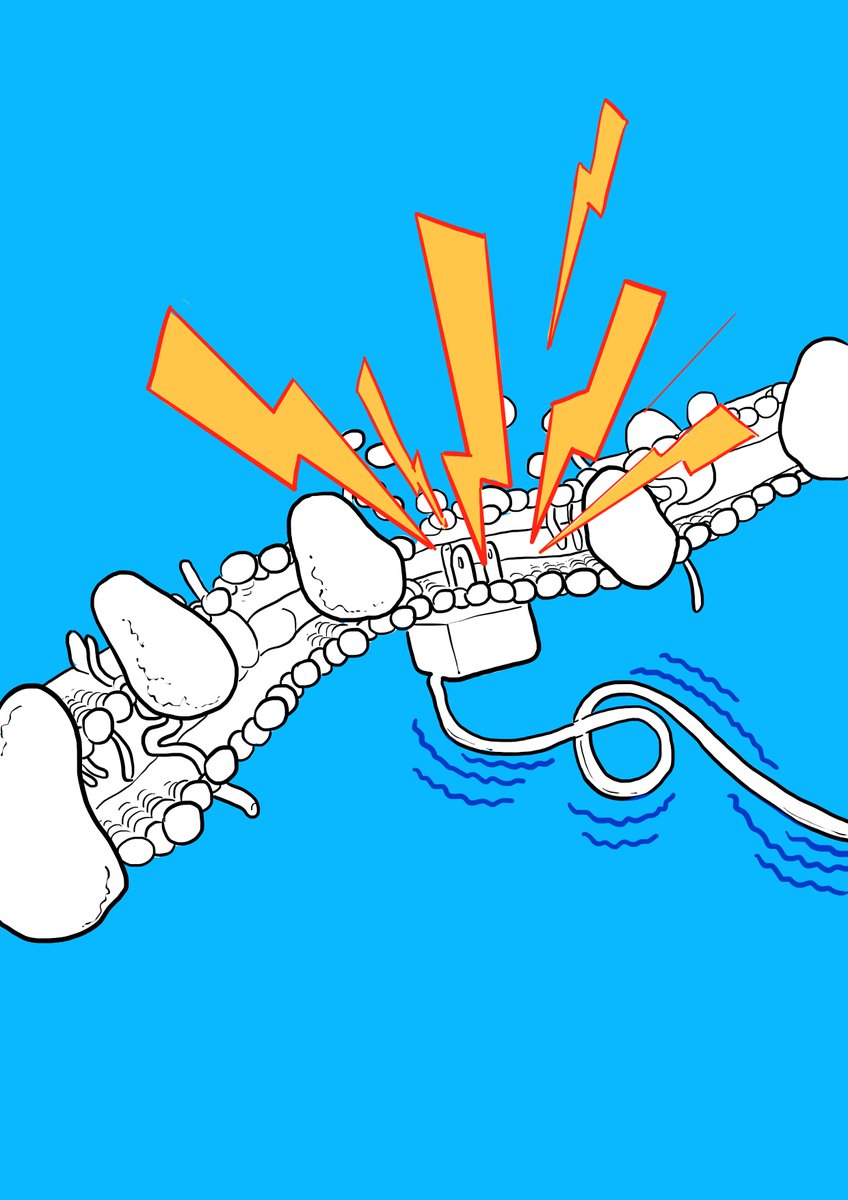 ¼ This week’s fanart is from a work by Panda et al., published in Nature Methods
°
#biology #research #researchpaper #physiology #signalling #membrane #proteome