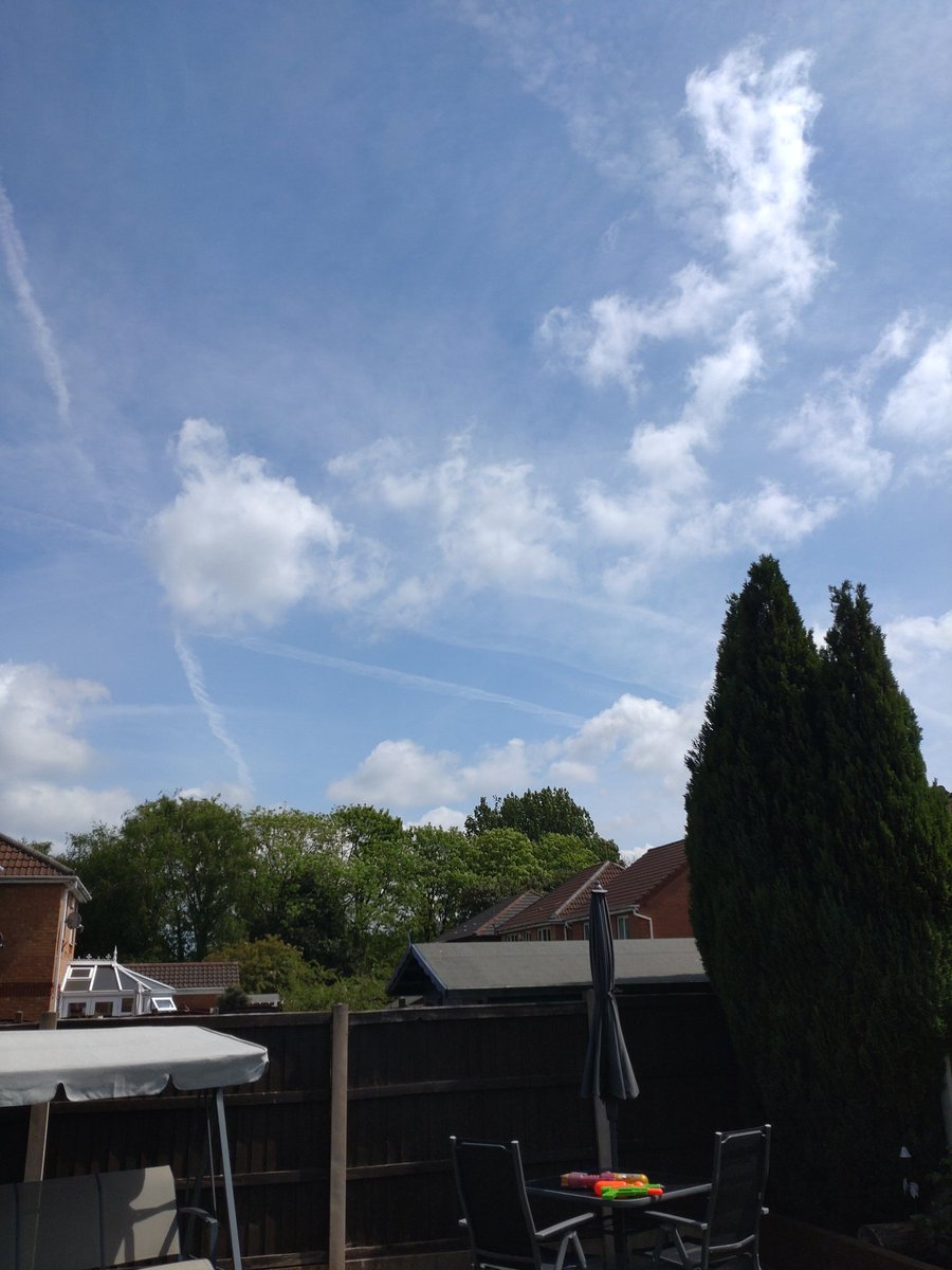 mrandrewfoster tweet media