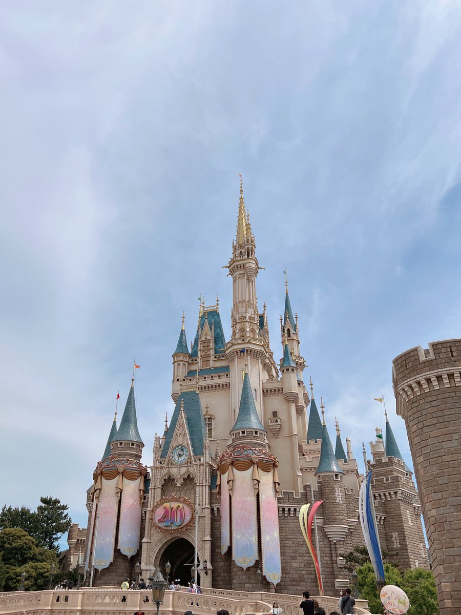 mn_____min's tweet image. Disneyland 40th 🥤🍔🥀🎀

#Disneyland 
#disneycode 
#日常垢