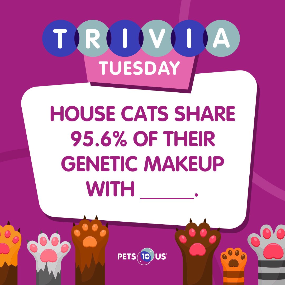 Pets Plus Us on Twitter "Win a 25 PetSmart gift card! To enter, answer the question, RT this