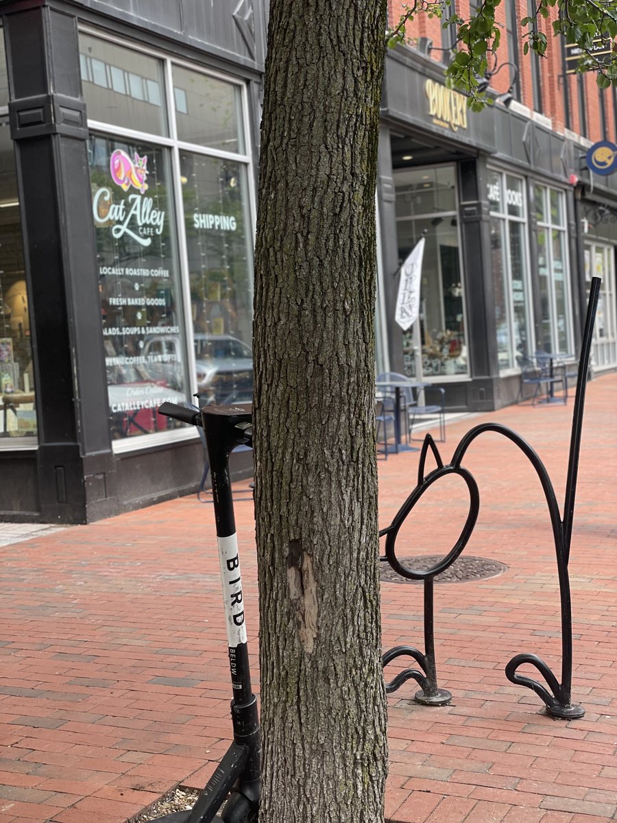 Bookery Manchester tweet media