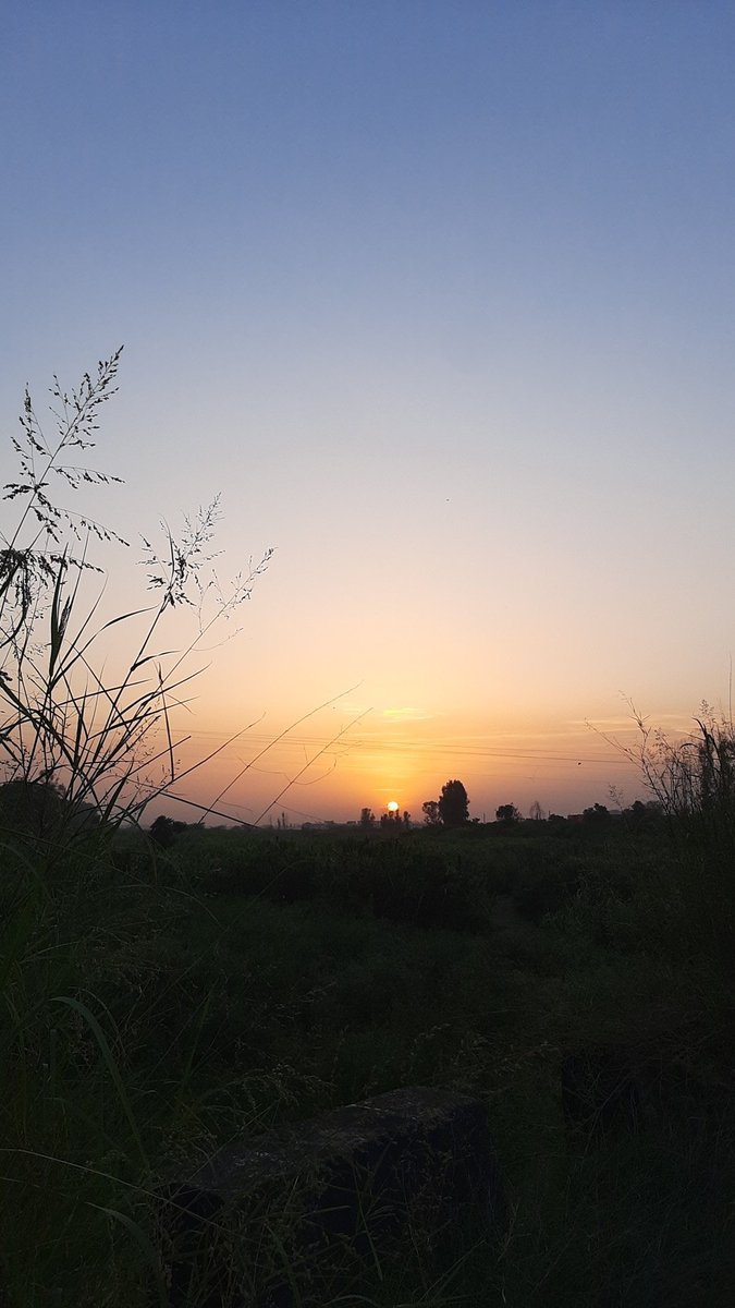 sooooonaaaaam (@sonam_angmoo) on Twitter photo 