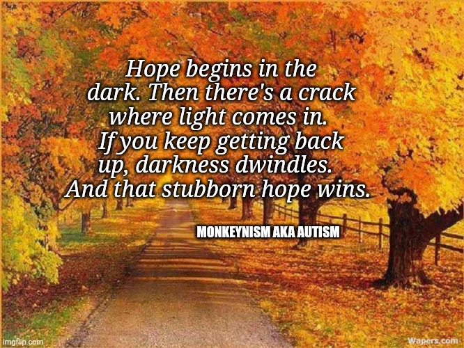 MonkeynismAKAautism tweet media