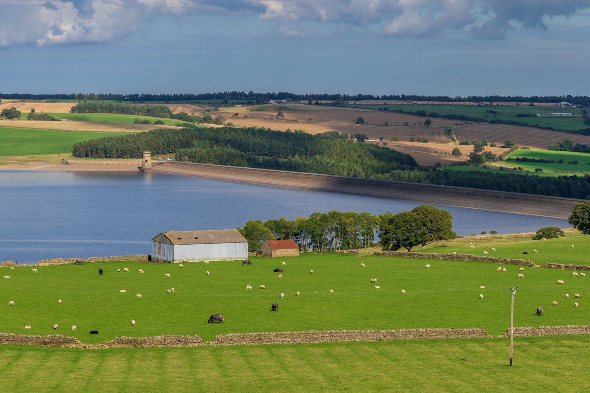 UKCF_tweets's tweet photo. We invited @MichelleCDCF from @CountyDurhamCF and @tamashaydu from @Cornwall_CF to share the issues they're identifying in rural and coastal areas of #Cornwall and #CountyDurham, and the necessity of place-based philanthropy in all types of landscapes:
📰
https://t.co/jFpldRKwdu https://t.co/g43tDTEpPh