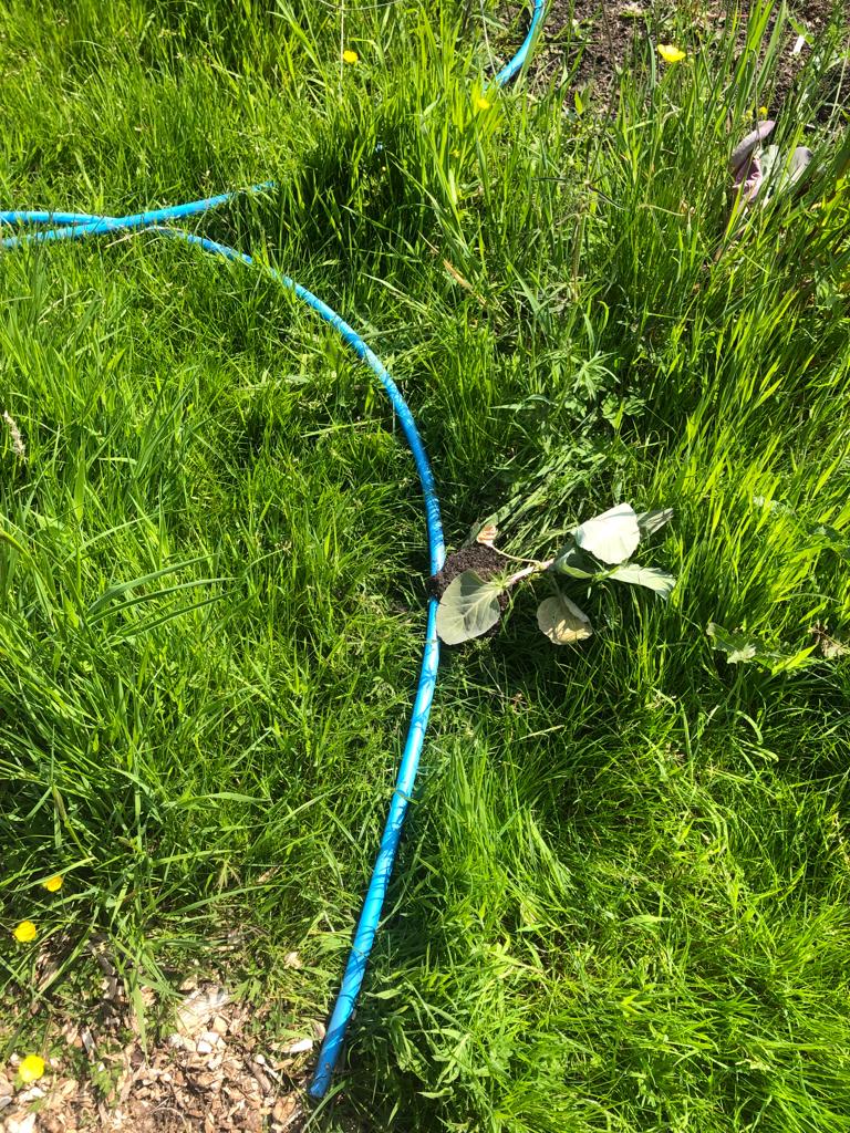 TheHubVols's tweet photo. Sadly the market garden site growing veg for @OldhamFoodbank has been vandalised for a second week. @NorthernRootsOL urban farm seriously damaged also.
Massive thank you to our great #volunteers @BlueCoat_Oldham @weare_pure who have replanted crops and retrieved items https://t.co/oxtsJQSR1g