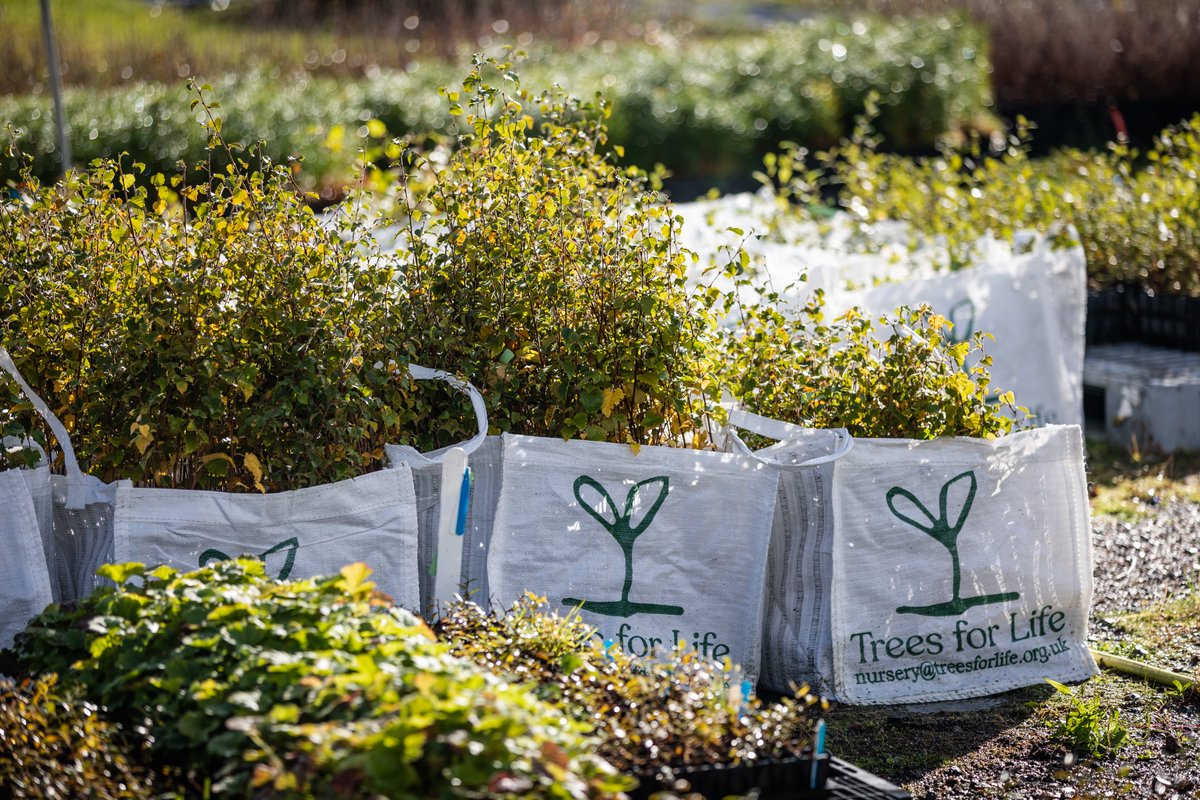 treesforlifeuk's tweet photo. Your generosity can change the world. Support us in our mission to restore and reconnect fragmented landscapes, bringing back the harmony of nature. Join us in making a lasting impact. Donate now: https://t.co/qWseIbnls8 #SupportRewilding https://t.co/NVoSovlp9o