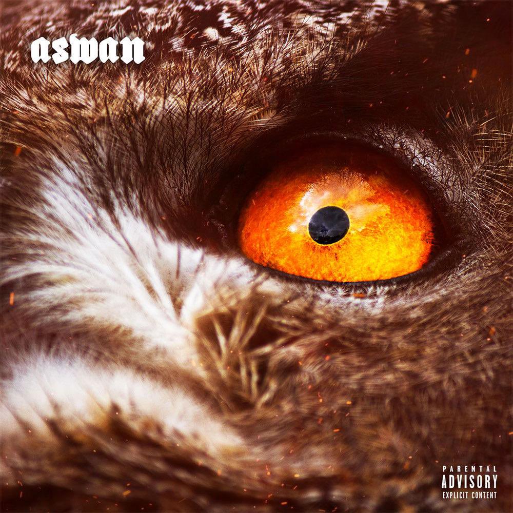 shak_aswan's tweet photo. « 1893 » Toujours disponible sur YouTube et toutes les plateformes de téléchargements. Lien en bio🎁 https://t.co/Sr0vsT5rBP