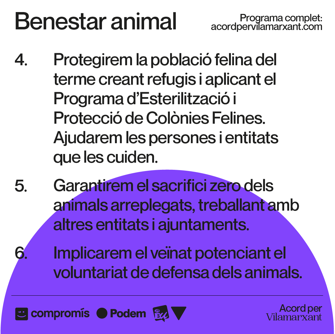 compromisVLX's tweet photo. 🐈 Protegir la població felina del terme creant refugis i aplicant el Programa d’Esterilització.  

🐕 Garantir el sacrifici zero dels animals.  

🧑‍🤝‍🧑 Implicar el veïnat potenciant el voluntariat de defensa dels animals. https://t.co/HV1wVCfHaW