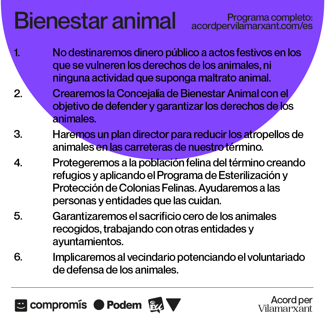 compromisVLX's tweet photo. 🐈 Protegir la població felina del terme creant refugis i aplicant el Programa d’Esterilització.  

🐕 Garantir el sacrifici zero dels animals.  

🧑‍🤝‍🧑 Implicar el veïnat potenciant el voluntariat de defensa dels animals. https://t.co/HV1wVCfHaW