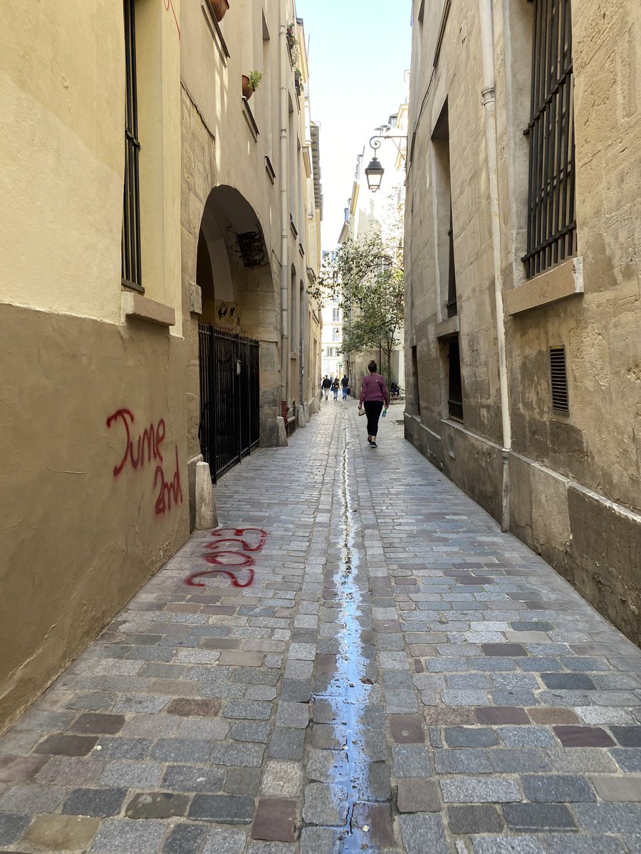 Maxybinks tweet media