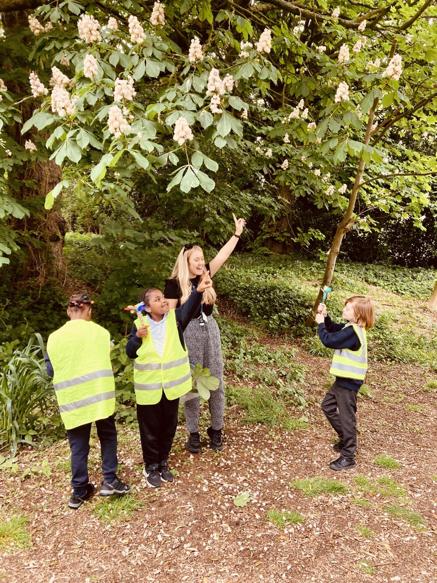 ALS_KS2's tweet photo. Italy class loved being in the forest school for outdoor learning last week! #outdoorlearning @AbbotsLeaSchool 🌲🌿🍂⛺️ https://t.co/uGwXXmNJj8