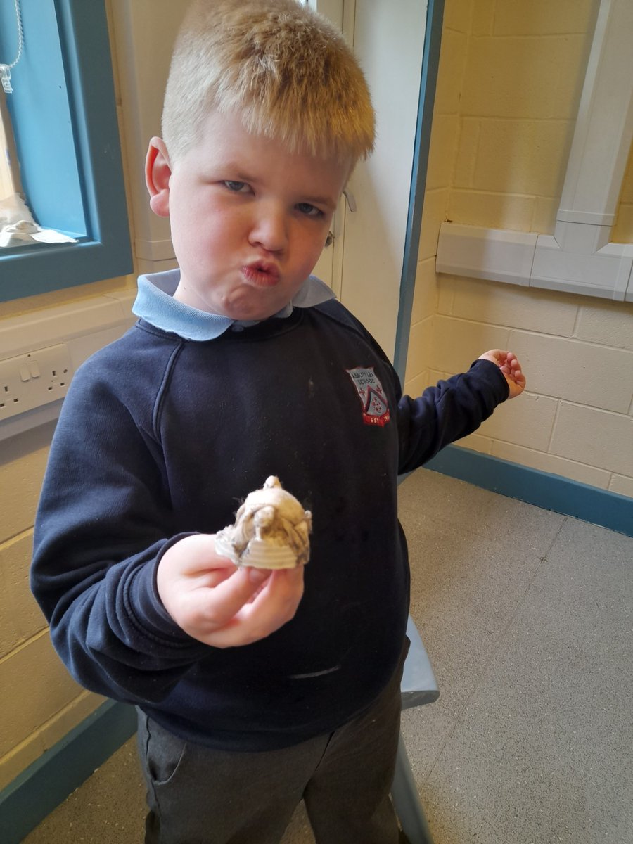 ALS_KS2's tweet photo. USA  Class are so happy with how our fossils turned out! Luckily we didn't have to wait a million years for them to form like real fossils do! 🦕🦖🪨 #fossils #dinosaur #bones #maryanning @AbbotsLeaSchool https://t.co/sGIMDSfUUg