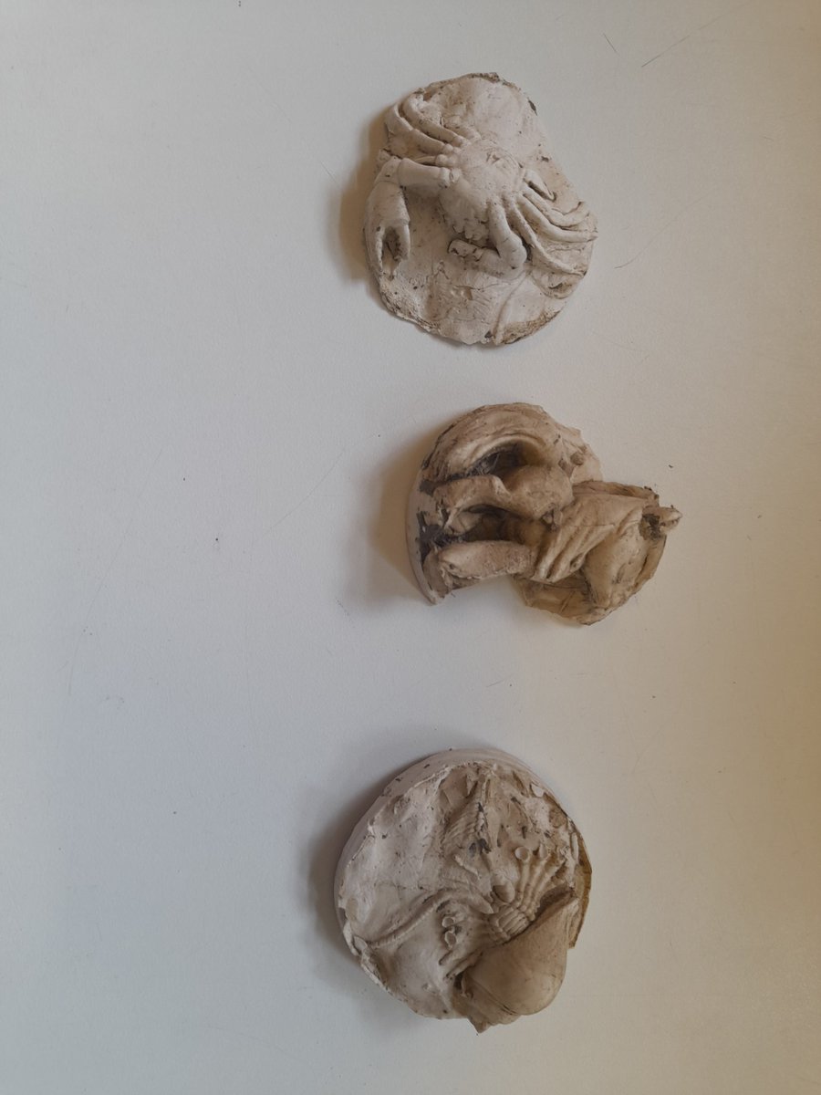 USA  Class are so happy with how our fossils turned out! Luckily we didn't have to wait a million years for them to form like real fossils do! 🦕🦖🪨 #fossils #dinosaur #bones #maryanning <a href="/AbbotsLeaSchool/">Abbot's Lea School</a>