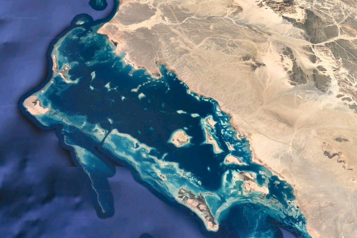 TheRedSea0's tweet photo. جانب من أعمال تنفيذ جسر جزيرة شورى بطول 1 كم ضمن #مشروع_البحر_الأحمر، والذي من المتوقع أن تنتهي كافة أعماله خلال شهر سبتمبر القادم https://t.co/gc1eNlfM43