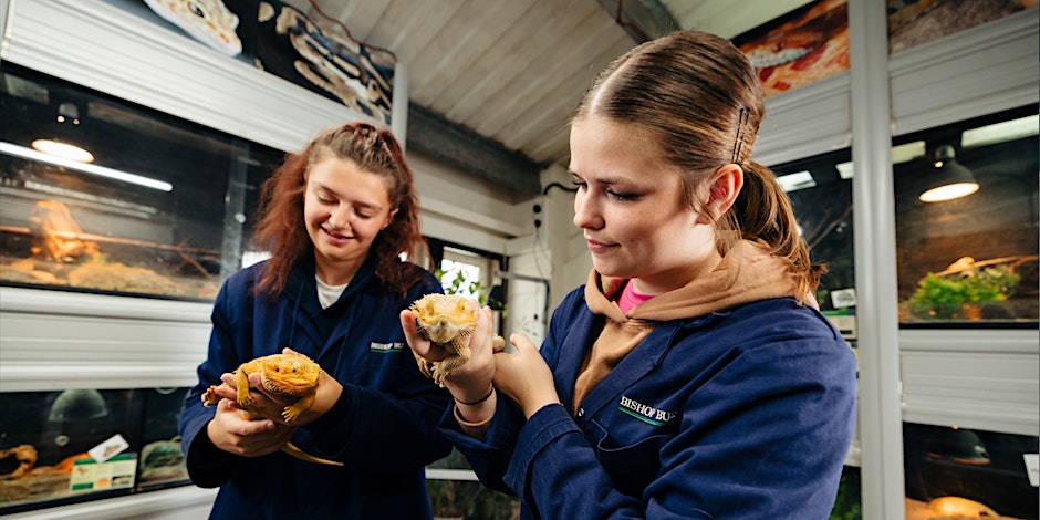 BishopBurton's tweet photo. Got an offer to study Animal Management with us? 🦎
Come down to our Animal Management Welcome Day this Friday, 26th May! 🤩
Don't miss out! Book your place now: https://t.co/af7e24hNDc
#AnimalManagement #BishopBurtonWelcomeDay #BishopBurtonEvents #OfferHolders #Excellence https://t.co/RAokqWACeo