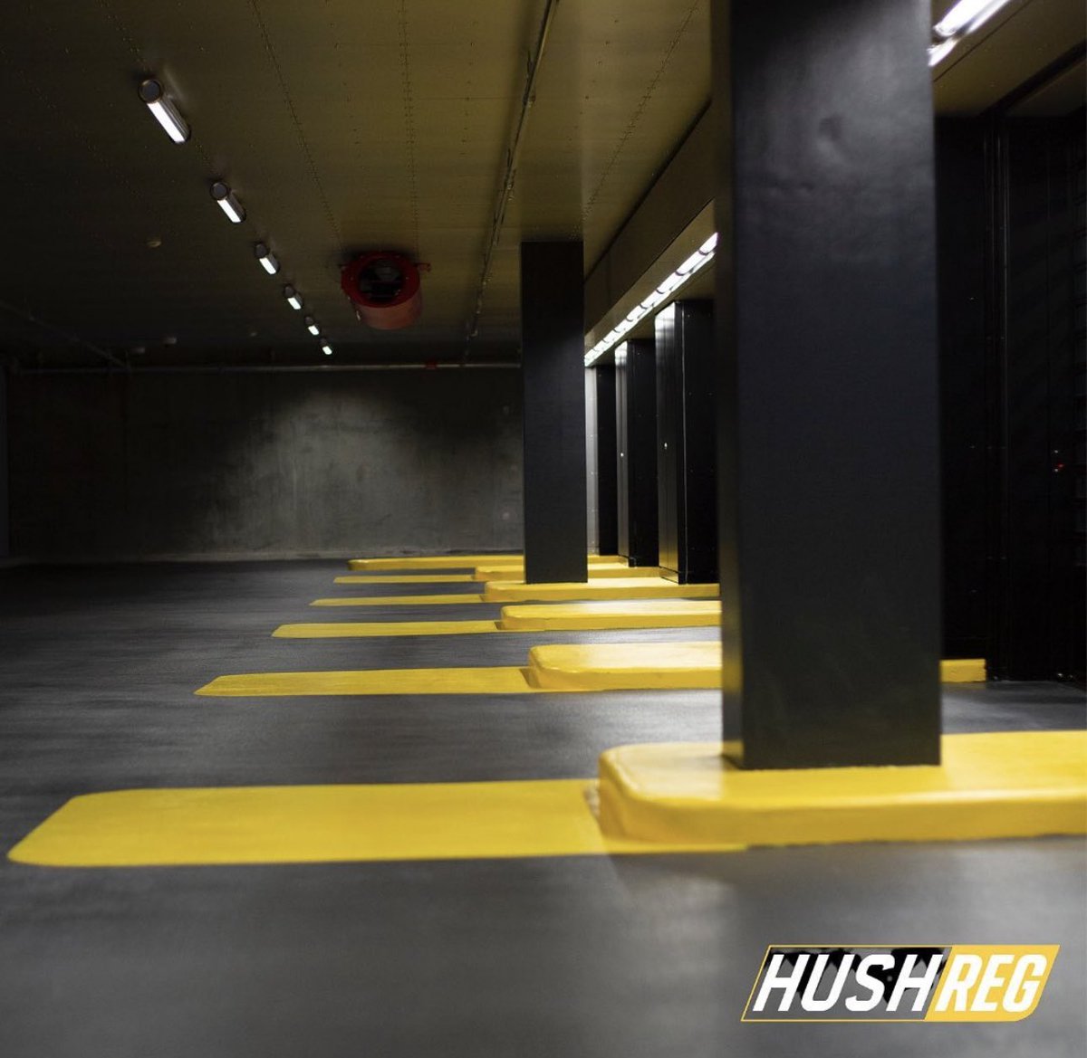 Black and Yellow, Black &amp; Yellow….

Looking for a private number plate, think hushreg.co.uk 😮‍💨

#HushReg #PrivateNumberPlate #Makeitpersonal #Keepitprivate #carreg #PersonalisedPlates #UniquelyYou #RoadsWithStyle