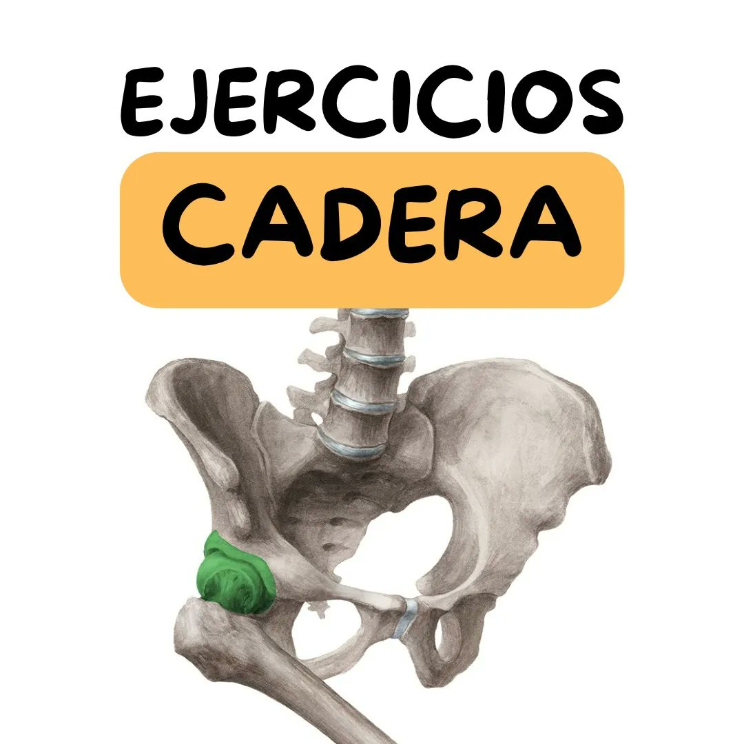 Propuesta de 5️⃣ ejercicios para cadera 

#hipmobility #hip #cadera #movilidaddecadera #mobility #fisio #lesion #movilidad #hipstrength #rehab #hiprehab #rehabilitaciondecadera #fisioterapia #fisioterapeuta #terapiafisica #physicaltherapy #physiotherapy
