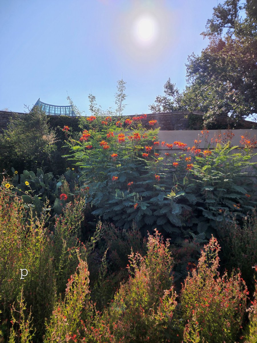 Good morning to everyone 
🌱🌻🌷🌺🌞