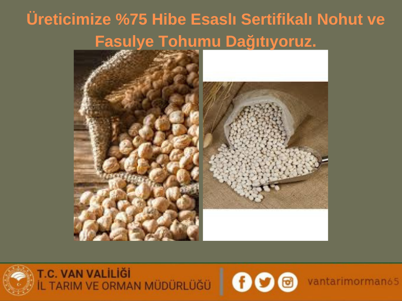 Kurumumuzca %75 hibe esaslı Sertifikalı fasulye ve nohut tohumu verilecektir. Ekim yapmak isteyen üreticiler acilen bulundukları İlçe Müdürlüğüne baş vurmaları gerekmektedir.
<a href="/VahitKirisci/">Prof.Dr.Vahit Kirişci</a> <a href="/tcvanvaliligi/">T.C. Van Valiliği 🇹🇷</a> <a href="/igorentas/">İbrahim Görentaş</a>