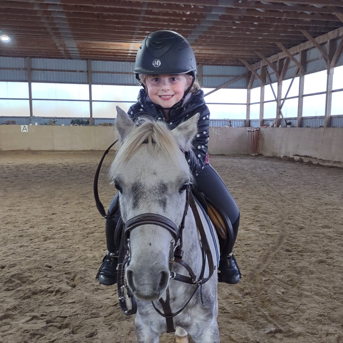 Say hello to Michelle! One of our awesome flyer models. Michelle is 8 years old and started riding when she was only 2 years of age! Michelle and her two show ponies, Emma and Harry, are looking forward to competing at the Silver Shows in Ontario this upcoming season. Good luck!