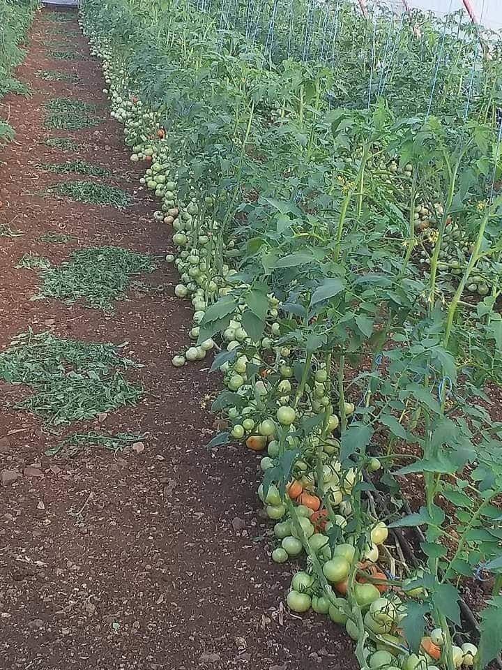 agribusiness-magazine-on-twitter-poor-market-research-can-lead-to-low