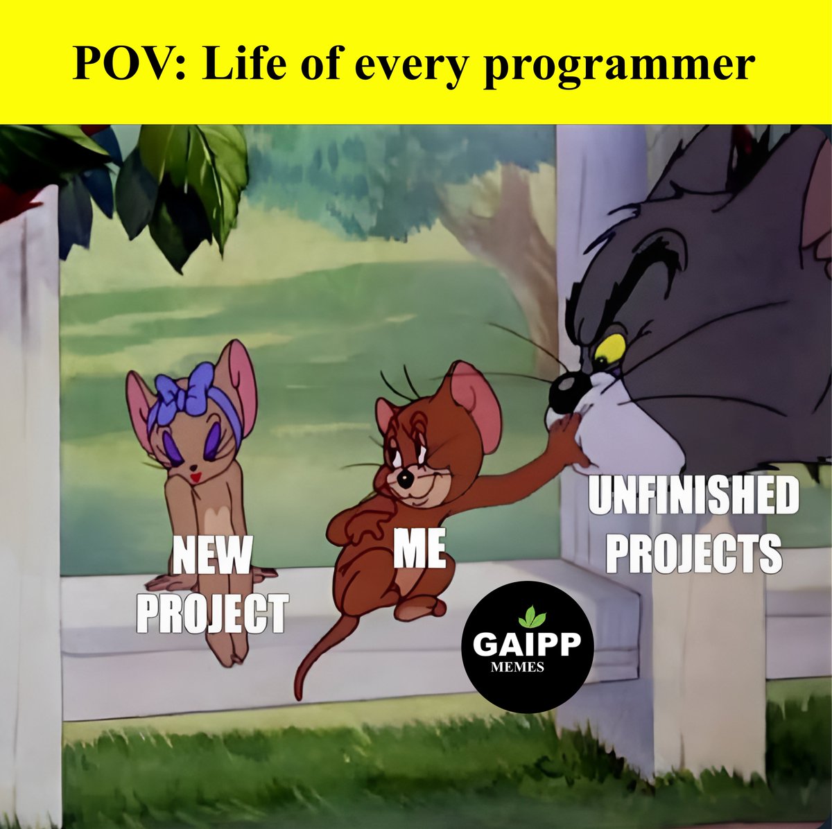 #Itmemes #itfun #programmer #programmerlife #programmermeme #gaipp #gaippmeme #projects
