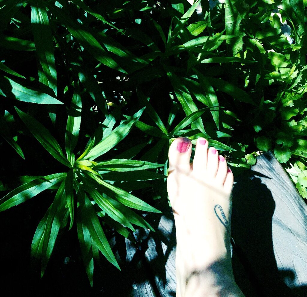 You’re only allowed to see my gorgeous feet👑
Finsub Application: forms.gle/1j9bByfYppY4nM…     
Feet Photo/Video Request: forms.gle/F8CxDZZiXECyip…
findom findomme femdom paypig humanatm cashcow walletdrain sub domme mistress goddess queen feetpics footpics feetfetish footfetish
