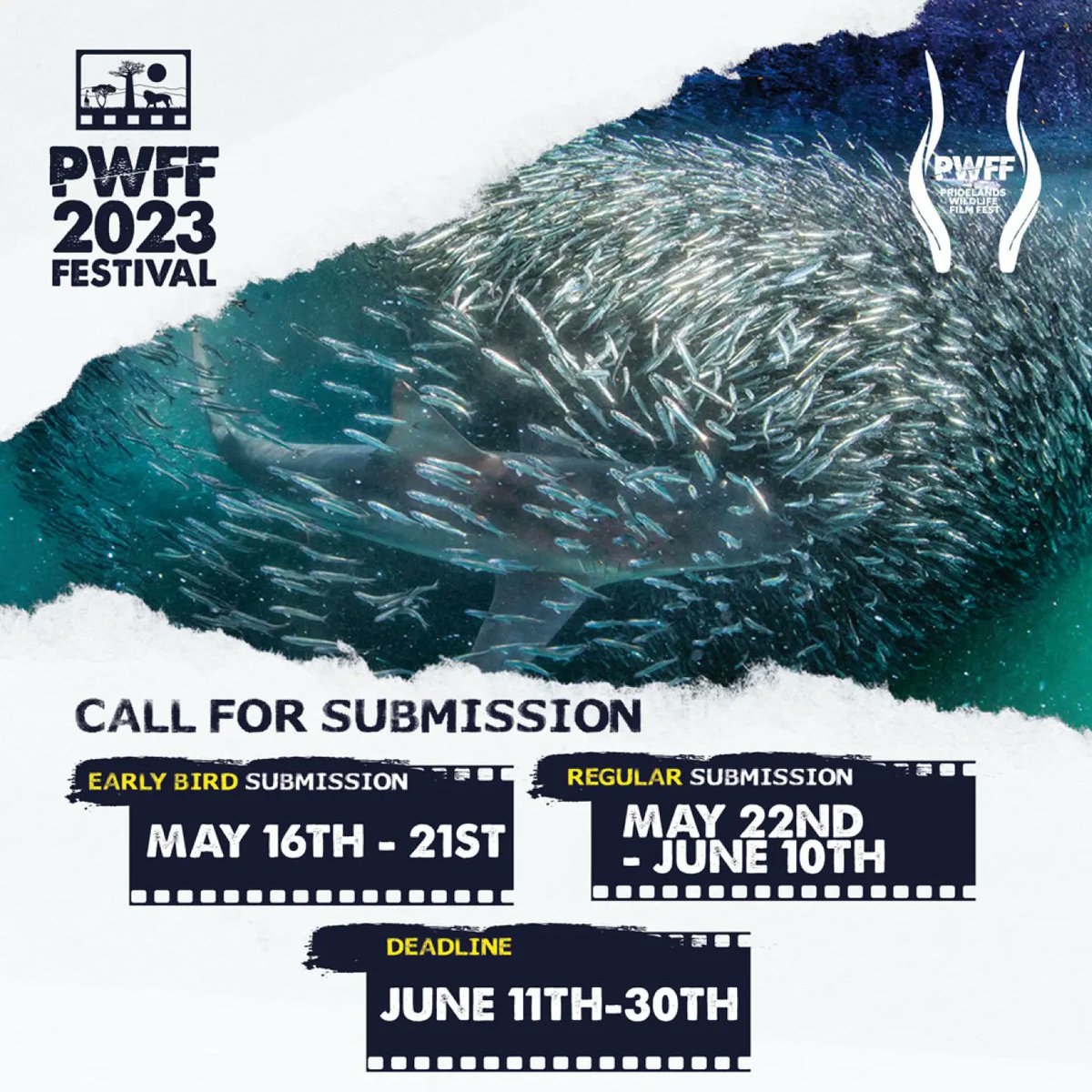Guess what? WE'RE READY TO SEE YOUR FILMS!🎬
See the link below to submit today!

filmfreeway.com/PridelandsWild…
#pwff2023 #homeofafricanstorytellers #africarising #africasfirstwildlifefilmfestival #africanstories #wildlifefilmfestival #wildlifefilms #callforsubmissions