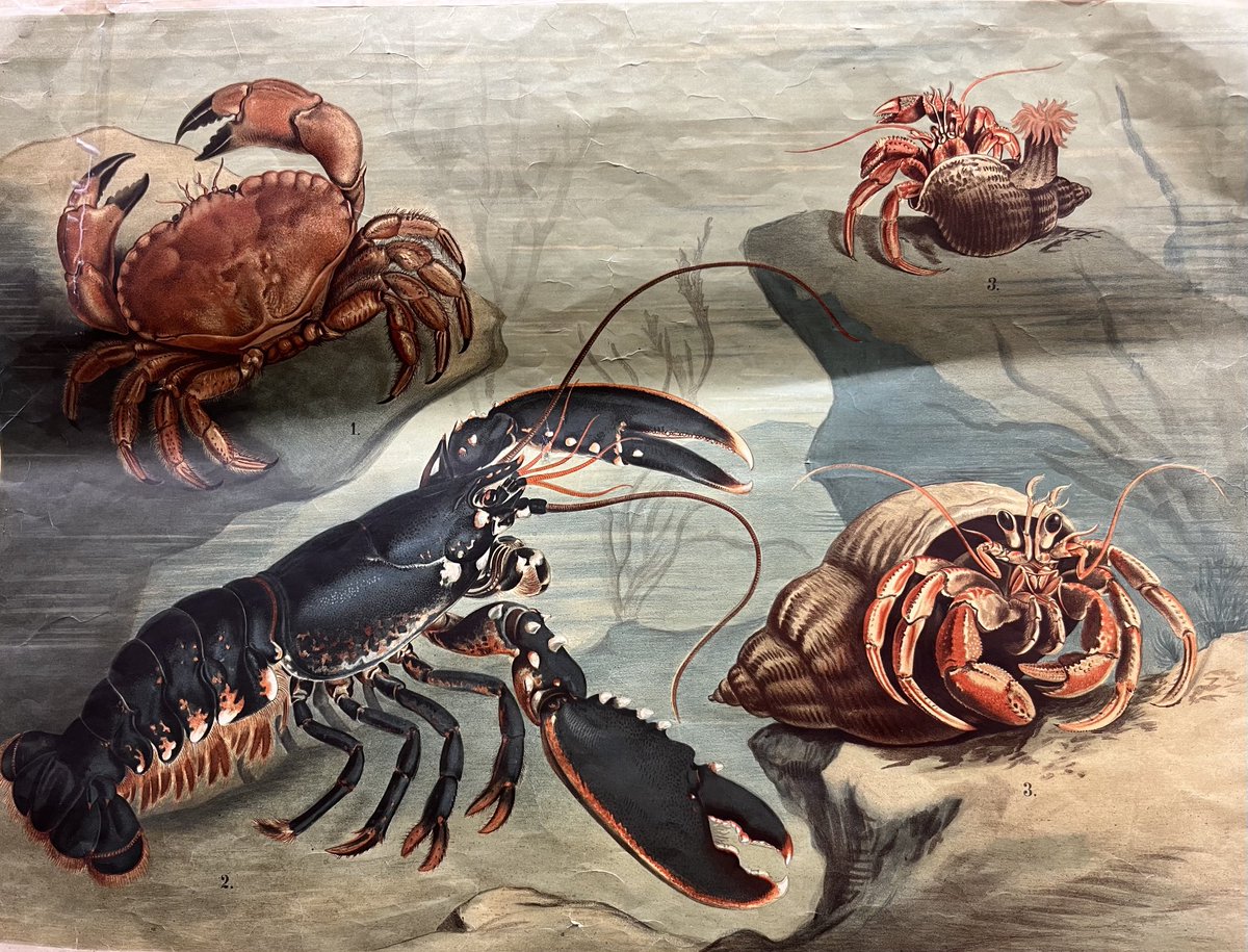 Magdalini.Christodoulou tweet media