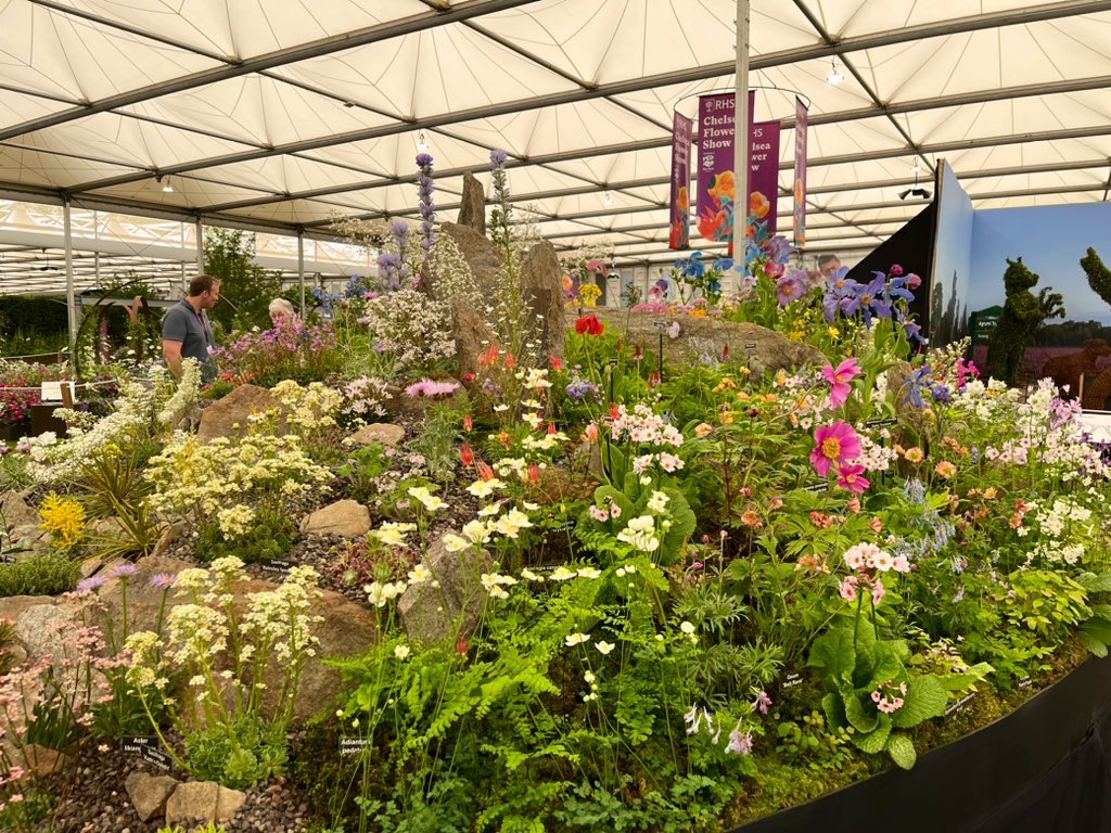 AlpinesJT's tweet photo. Great to attend press day at Chelsea  flower show yesterday. Array of wonderful exhibits throughout the show. Here is Kevock Garden plants stand in the Great Pavilion. 👏 https://t.co/WfKBm0CSD2