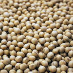 7 Health Benefits of Soybeans You Need to Know
Read Article: elevaterope.com/7-health-benef…
- 
#jumprope #jumpingrope #jumpropetricks #jumpropeworkout #jumpropetraining #skipping #skippingrope #ropeskipping #elevaterope #elevatefamily #geraldoalken #cardio #fitness #fitnesstips