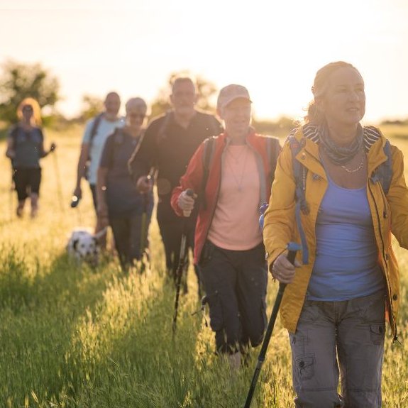 BookhamLibrary's tweet photo. Next time you are in the library pick up a free Guided Wellbeing Walks leaflet. Free, fun and sociable walks organised by @MoleValleyDC including a collection of walks on Bookham Common
More info https://t.co/iappfFcMDT
#walking #SurreyHills #BookhamCommon @SurreyLibraries https://t.co/mRniirBmEN