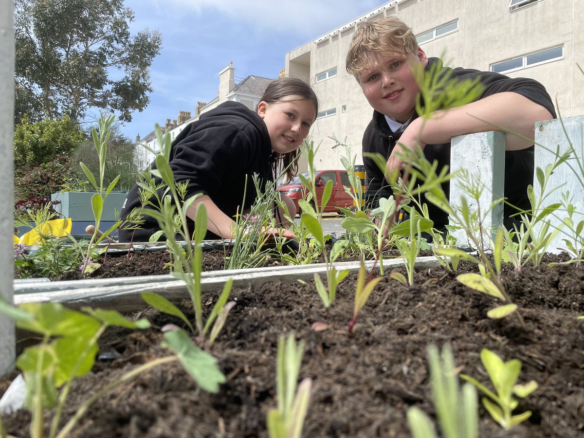 SanSior's tweet photo. Ffilmio at gyfer Newyddion ITV @ConwyFusion @CyfunoConwy @edibleconwy @RHSSchools https://t.co/wNr8HFhS5V