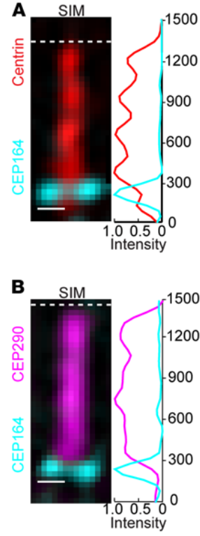 Michael Robichaux tweet media