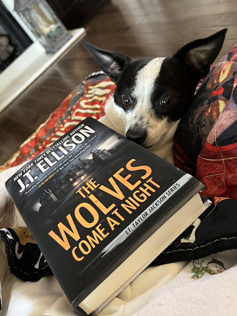 saintthataint's tweet photo. The book we have all been waiting for! The return of Taylor! A 5 paws review from Higgins https://t.co/ciXAWKmfgA