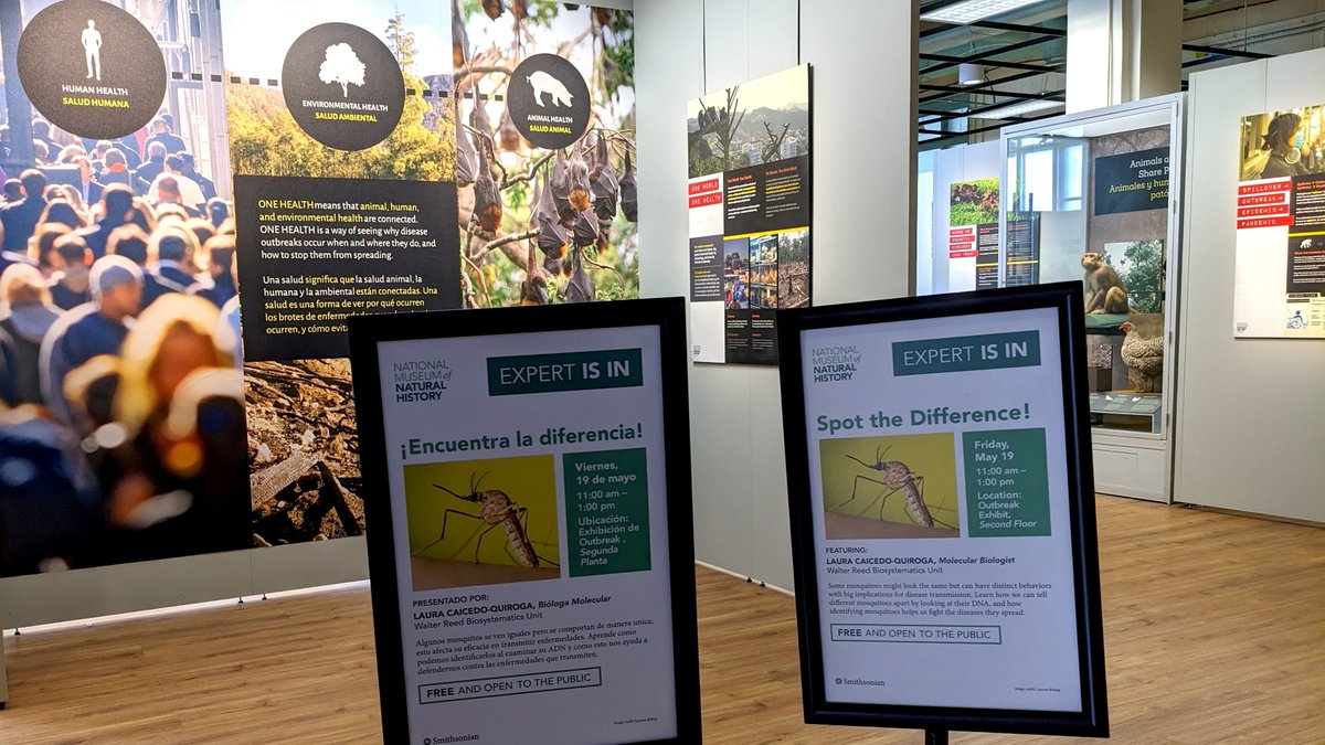 ento_wrbu's tweet photo. Our own Laura Caicedo-Quiroga, was the visiting expert @NMNH Outbreak Exhibit last Friday. It was 2 hours of lively discussion with the public about the Culex pipiens complex in USA and West Nile Virus! #expertisin #mosquito #westnilevirus #wrbu https://t.co/t4ZL7qVmPj