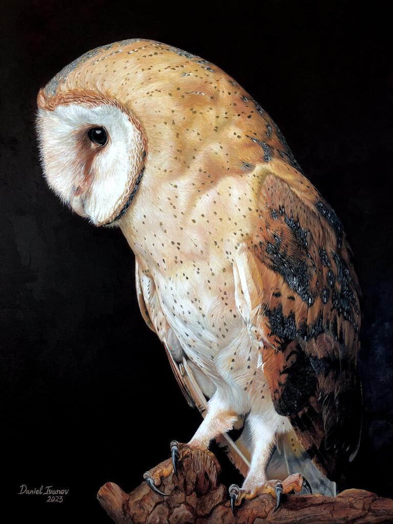 FunkDandy's tweet image. check out our products at dropappeal.com #RT #FF #Art #Pics