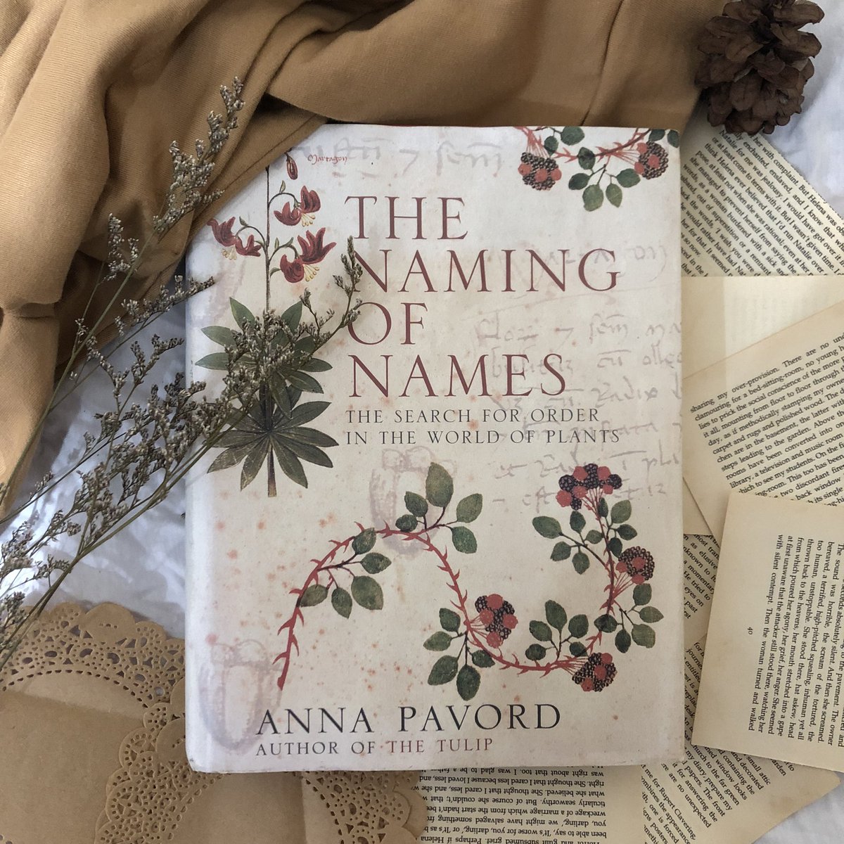 rphlla17's tweet photo. Wts unhaul jual preloved buku ilustrasi vintage hardcover

Boleh tanya tanya dulu soal kondisinya

• The naming of names
• Dinner with mr Darcy
• Old time fairy tales 
• Andersen’s fairy tales

🏷️ 200k/buku (boleh nego kalo beli lebih dr satu)

Bisa via shopee https://t.co/EvuVRzYnuZ