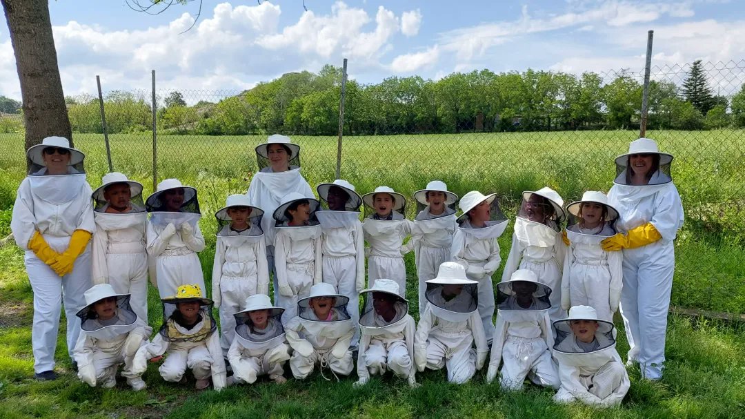 sagratcorvic's tweet photo. Els alumnes de 1r de primària ens hem vestit d'apicultors per anar a observar les caixes de les abelles i les bresques on fan la mel! 🐝🍯🪻 #sagratcorvic #scvpri #primaria #educacio #escola @lacasadelesabelles https://t.co/XfYaaerpR4