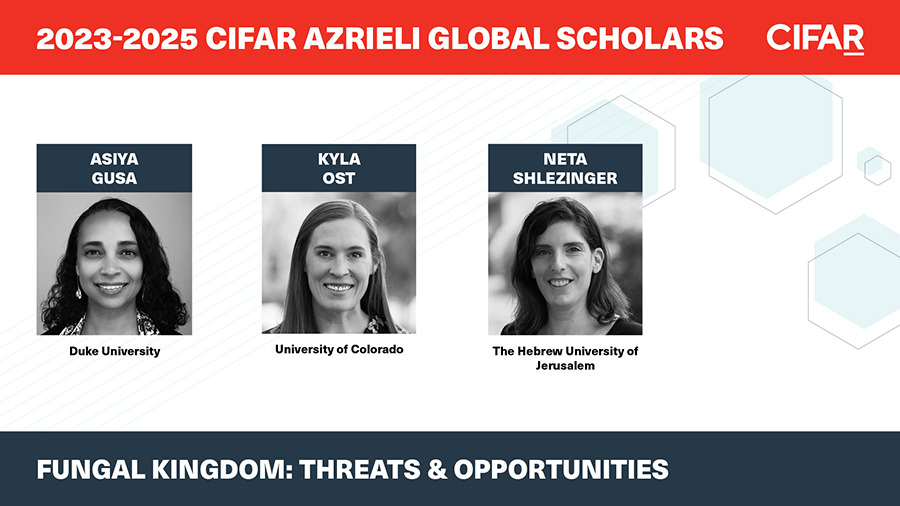 CIFAR (@cifar_news) on Twitter photo Fungal Kingdom: Threats & Opportunities welcomes Asiya Gusa (@AsiyaGusa, <a href="/DukeU/">Duke University</a>), Kyla Ost (<a href="/KylaOst/">Kyla Ost</a>, <a href="/CUAnschutz/">CU Anschutz Medical Campus</a>) and Neta Shlezinger (<a href="/ShlezingerLab/">Neta Shlezinger</a>, <a href="/HebrewU/">Hebrew University</a>).
cifar.ca/cifarnews/2023… Fungal Kingdom: Threats & Opportunities welcomes Asiya Gusa (@AsiyaGusa, <a href="/DukeU/">Duke University</a>), Kyla Ost (<a href="/KylaOst/">Kyla Ost</a>, <a href="/CUAnschutz/">CU Anschutz Medical Campus</a>) and Neta Shlezinger (<a href="/ShlezingerLab/">Neta Shlezinger</a>, <a href="/HebrewU/">Hebrew University</a>).
cifar.ca/cifarnews/2023…