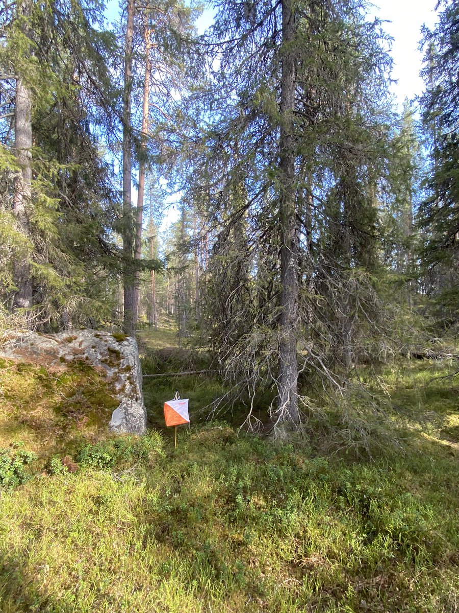 Koillismaan Rastipäivät 21-23.7.2023 Posiolla Himmerkin maastossa. Pe maastosprintti vanhalla soranottoaluella. La pitkämatka ja Su keskimatka. Uusi Tapio Tahkolan tekemä kartta. posionpyrinto.com #suunnistus