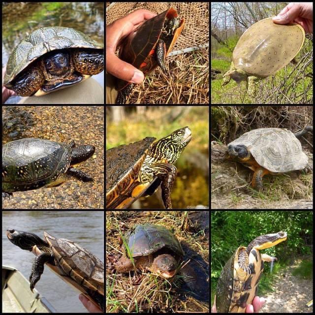 Dr. Solomon David tweet media