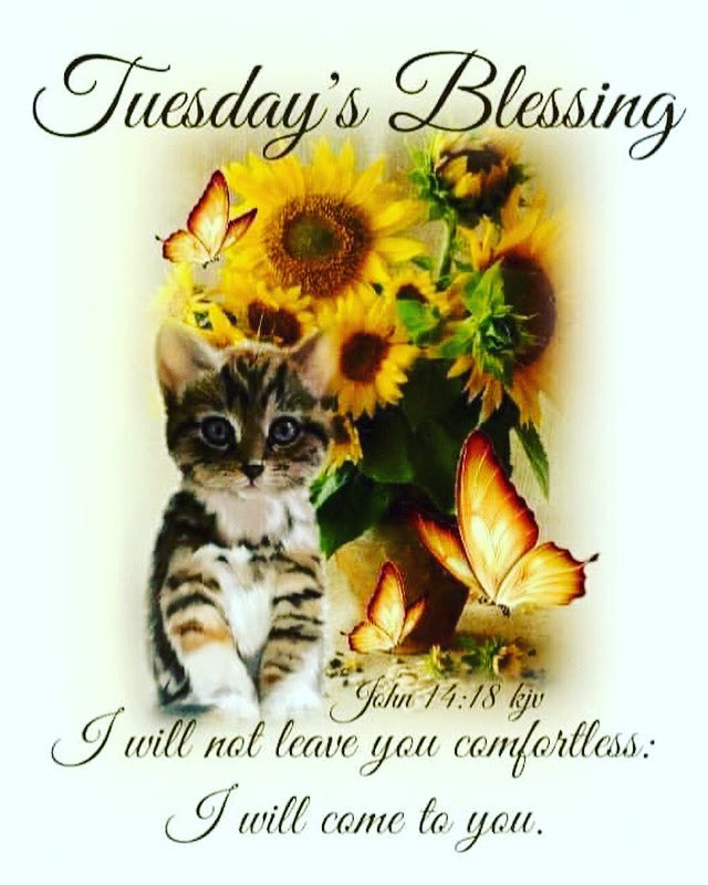 Tuesday Blessings everyone. Enjoy!
💛💛💛
.
.
.
#tuesday #blessings #tuesdayblessings #bible #bibleverses #scripture #gospel #john #god #lord #thelord #lordgod #jesus #jesuschrist #christ #christjesus #holyspirit #comforter #enjoy #enjoylife #davisonlupinski #toridavison