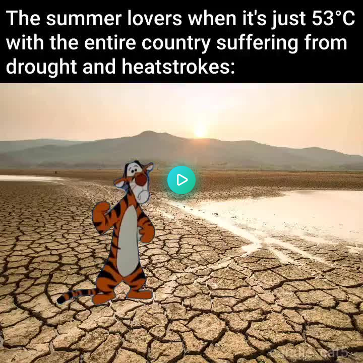 1mage_folder's tweet image. The lovely summer