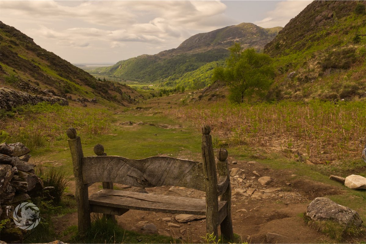 #PewWithAView

Cwm Bychan, Beddgelert

#nikon #z50 #NorthWales #Eryri #Beddgelert #landscape #kase #CaptureWithConfidence