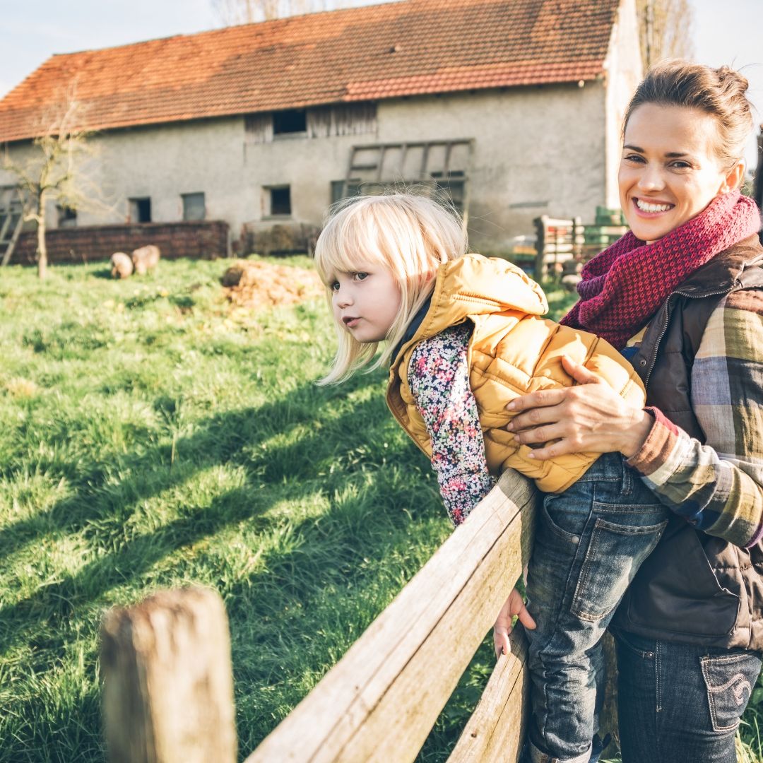 Food Forest Abundance tweet media