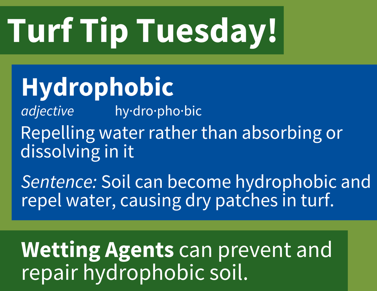 ExactoLLC's tweet photo. What’s hydrophobicity and why does it matter in turf management?

Learn about hydrophobicity and how wetting agents can help here: https://t.co/phnSUrwclv 

#turfmanagement #turftips #turftwitter https://t.co/TS2YCegwmi