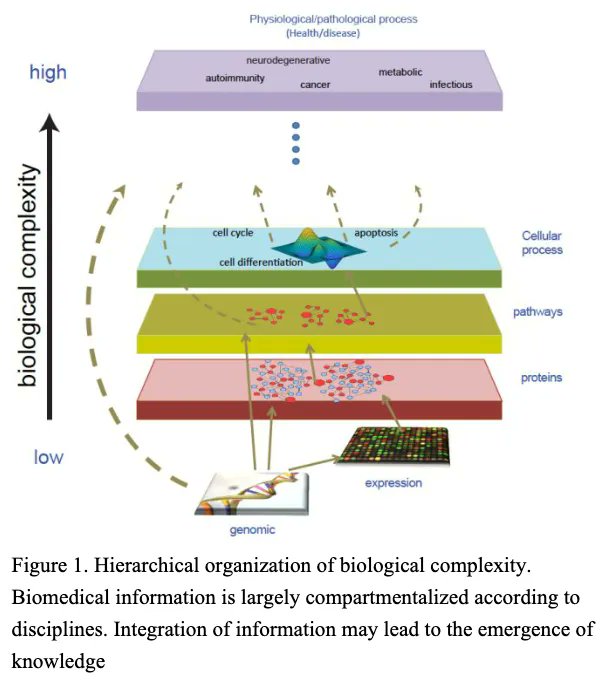 strnr's tweet photo. scalable precision medicine open knowledge engine (SPOKE): A massive knowledge graph of biomedical information  https://t.co/9kUgGiEwxo https://t.co/XsXPLbWptY